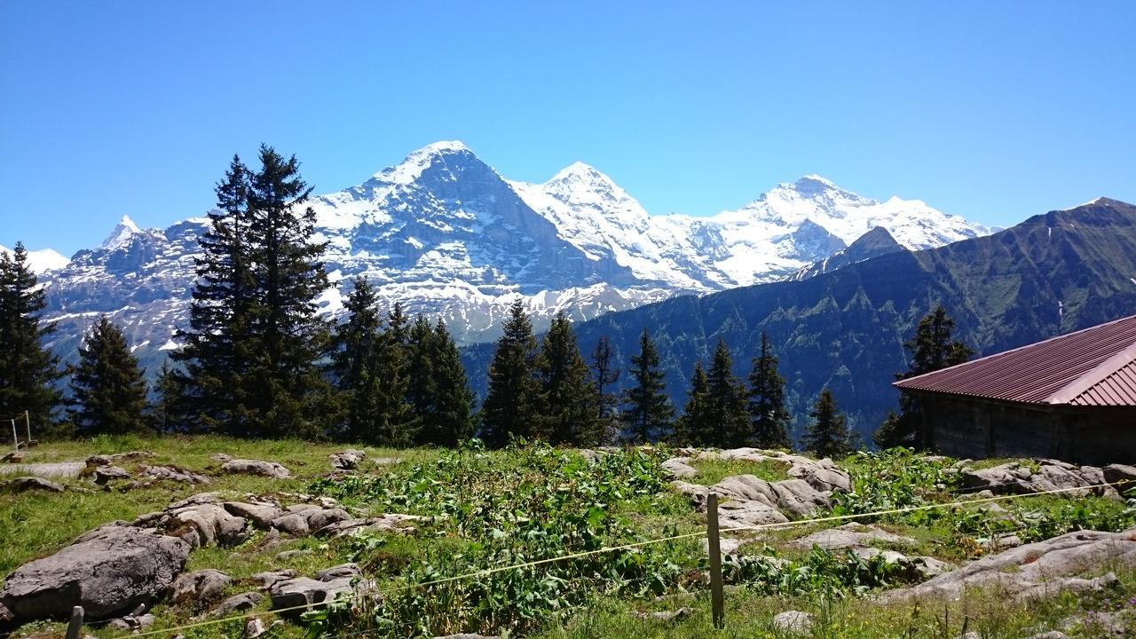 Berghaus Hintisberg Hotell Lütschenthal Exteriör bild